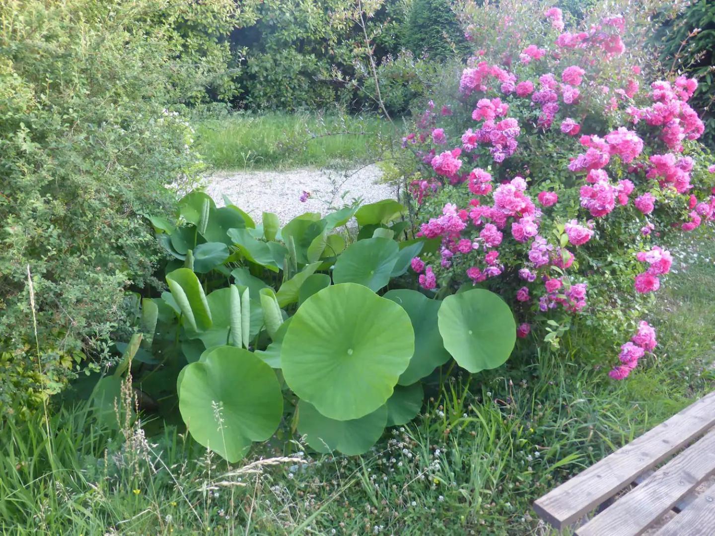 La Maison De L'Ecolieu Du Turc - Piscine Partagee Le Mas-dʼAgenais Екстериор снимка